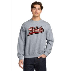 Sport Grey Sweatshirt