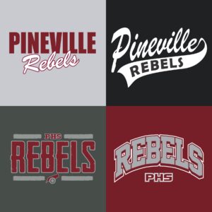 Tee Shirt Bundle<br><strong style="color: red;">4 SHIRTS</strong>