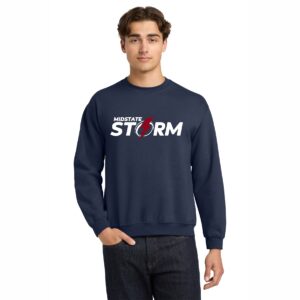 Navy Graphic Sweatshirt